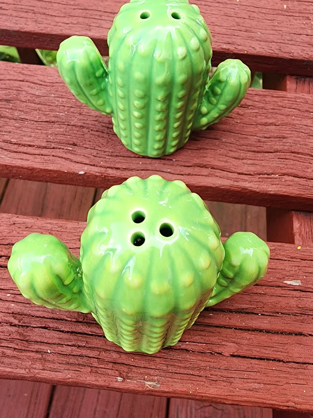 Green Cactus Ceramic Salt and Pepper Shakers